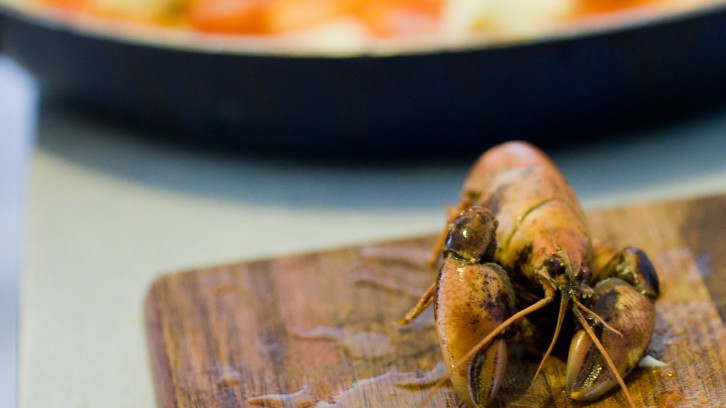 Catching Yabbys, Mak’n Pizzas!