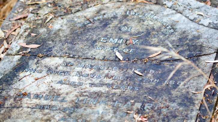 Catching Yabbys, Mak’n Pizzas!