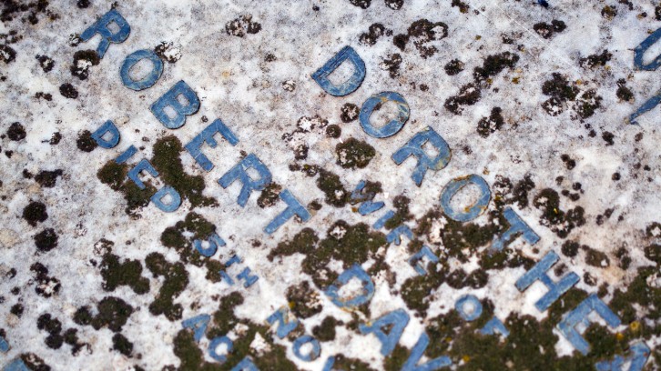 Catching Yabbys, Mak’n Pizzas!