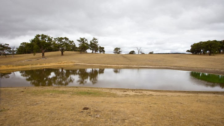 Catching Yabbys, Mak’n Pizzas!