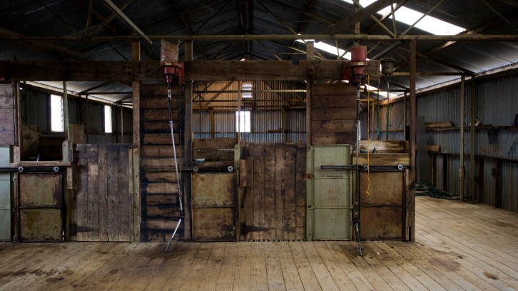 Catching Yabbys, Mak’n Pizzas!