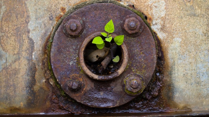 Catching Yabbys, Mak’n Pizzas!