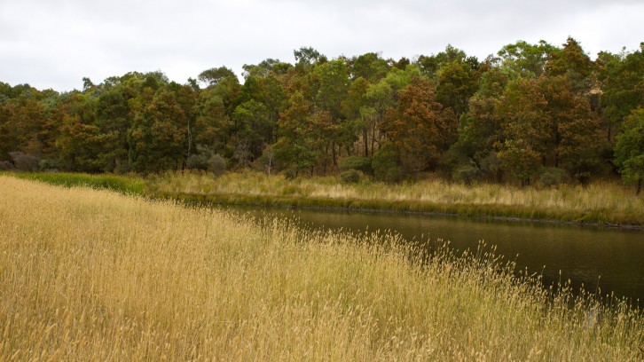 Catching Yabbys, Mak’n Pizzas!