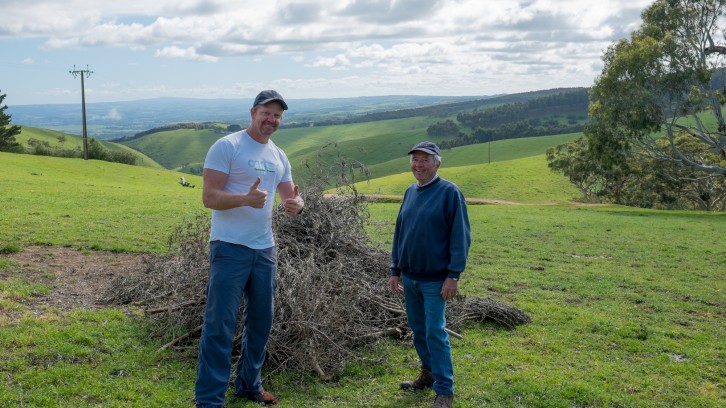 Collecting Olive Wood