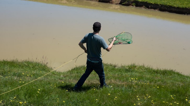 More Wood, 1 Yabbie and 1 Duck