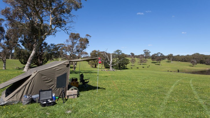 More Wood, 1 Yabbie and 1 Duck