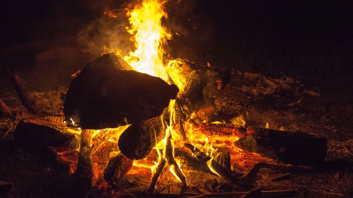 More Wood, 1 Yabbie and 1 Duck