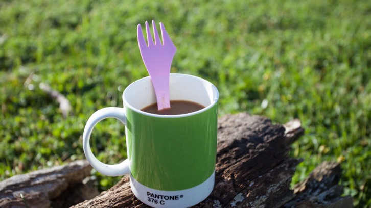 More Wood, 1 Yabbie and 1 Duck