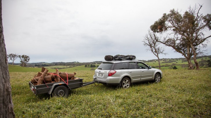 More Wood, 1 Yabbie and 1 Duck