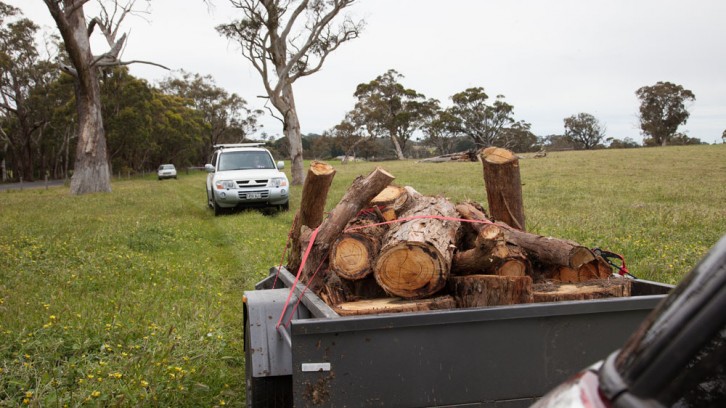 More Wood, 1 Yabbie and 1 Duck