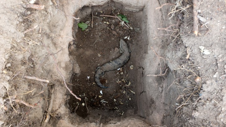 Building a Wall, Splitting Wood