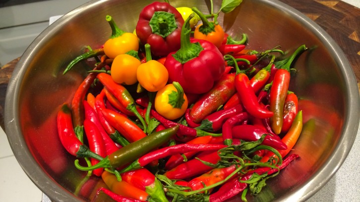 Paella, Pizza, Poultry and Practice!