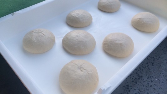 Neopolitan Dough Recipe