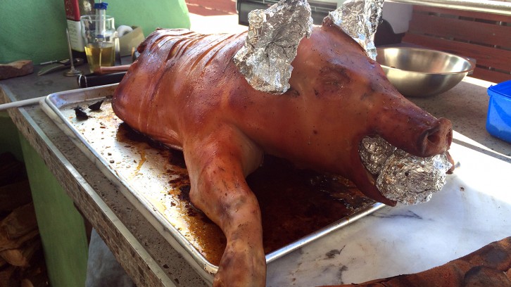 Edna the Pig, crosses the road.