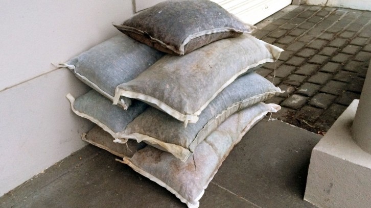 Scamorza Cheese Festivus